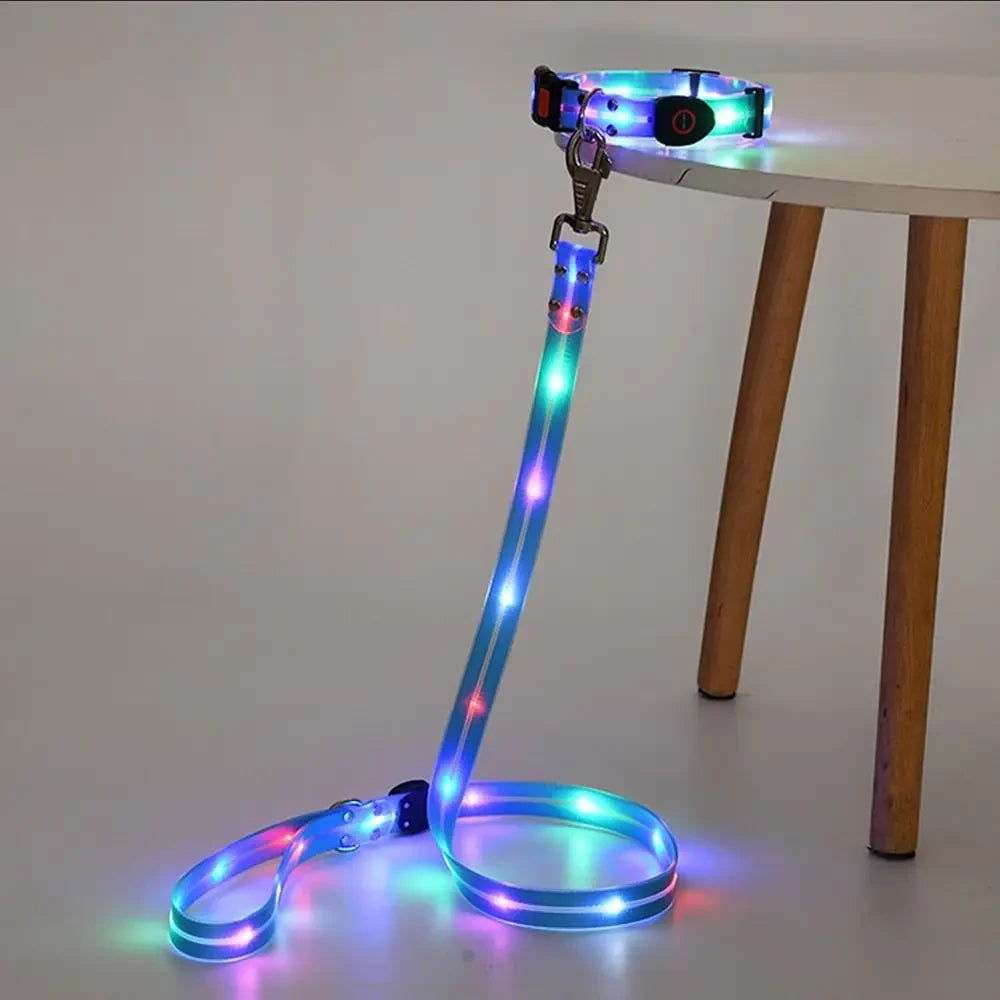 Rechargeable LED Dog Collar and Leash