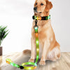 Rechargeable LED Dog Collar and Leash