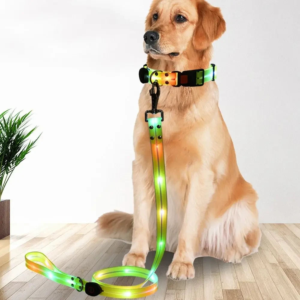 Rechargeable LED Dog Collar and Leash