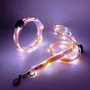 Rechargeable LED Dog Collar and Leash