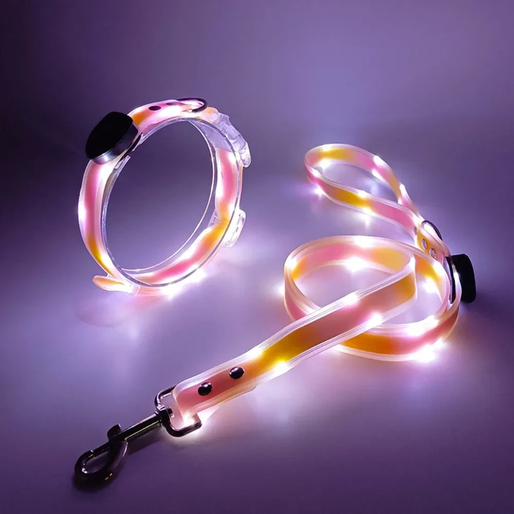 Rechargeable LED Dog Collar and Leash