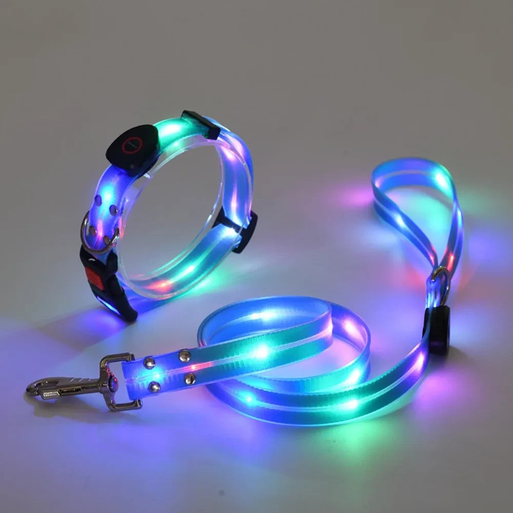 Rechargeable LED Dog Collar and Leash