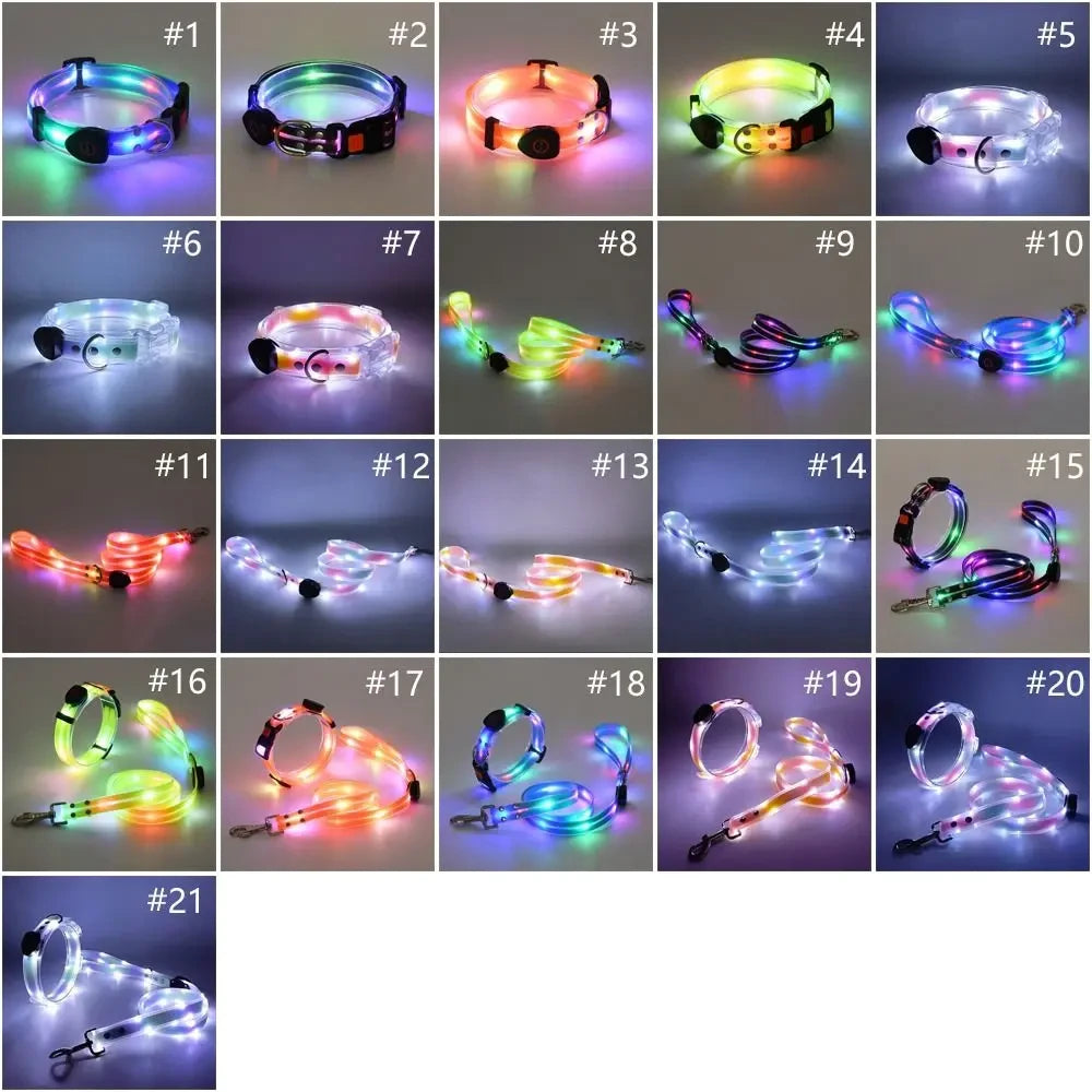 Rechargeable LED Dog Collar and Leash