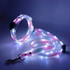 Rechargeable LED Dog Collar and Leash