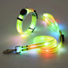 Rechargeable LED Dog Collar and Leash