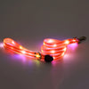 Rechargeable LED Dog Collar and Leash