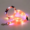 Rechargeable LED Dog Collar and Leash