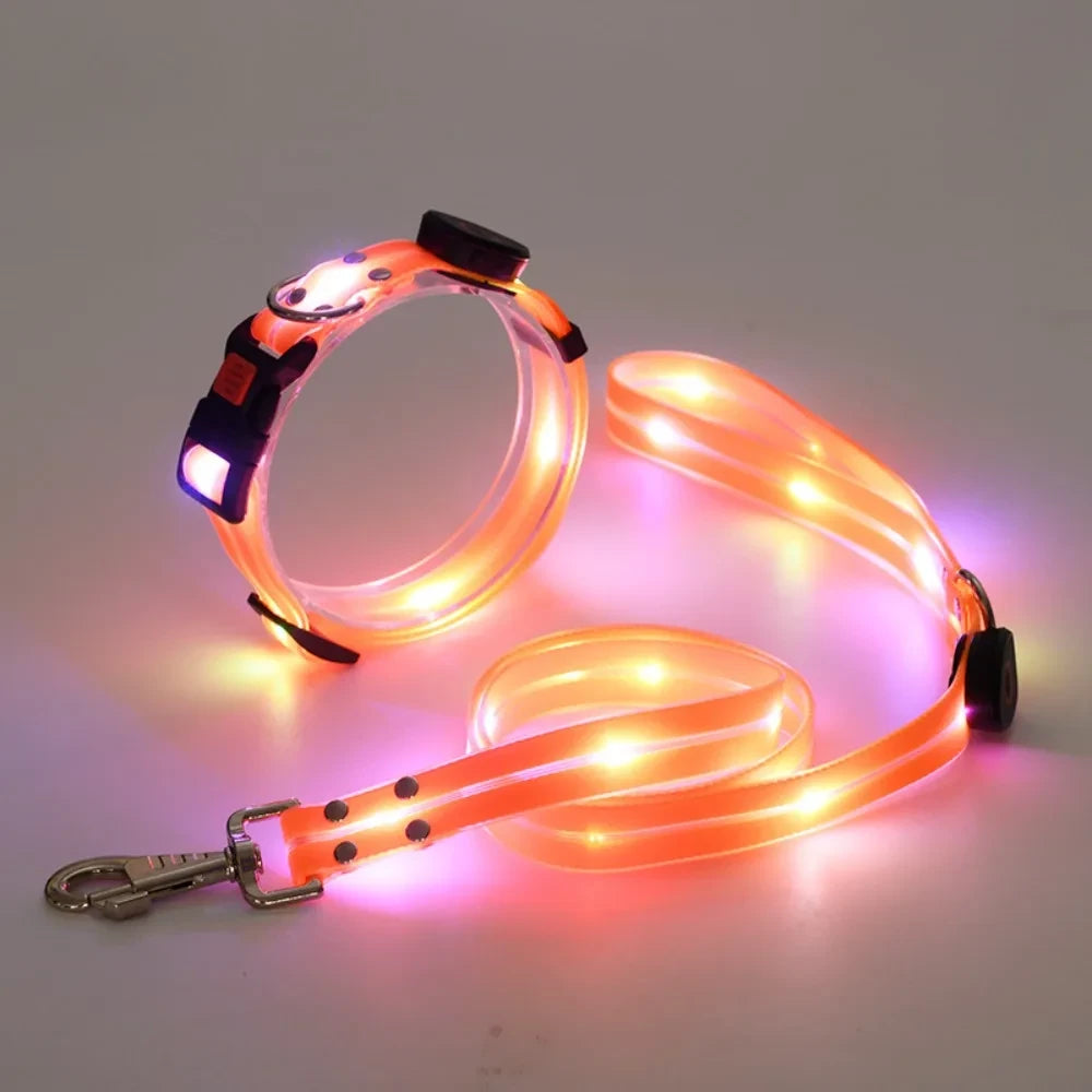 Rechargeable LED Dog Collar and Leash