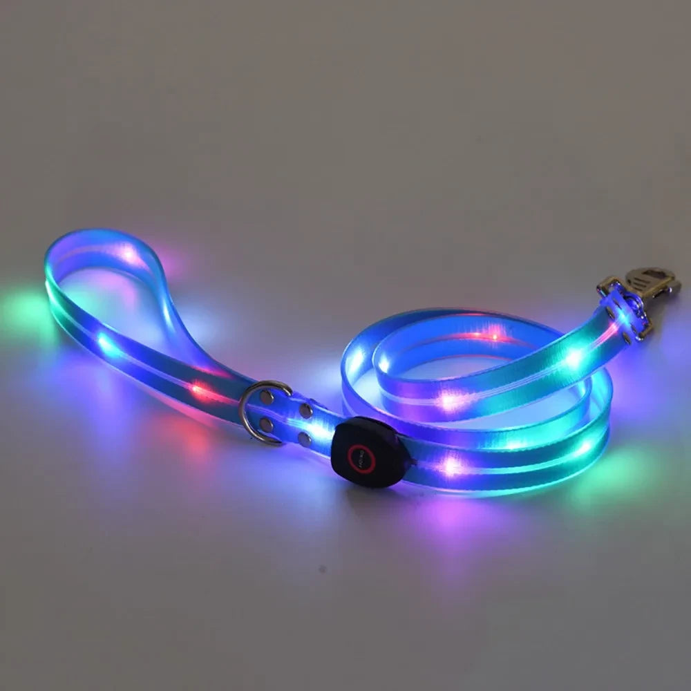 Rechargeable LED Dog Collar and Leash