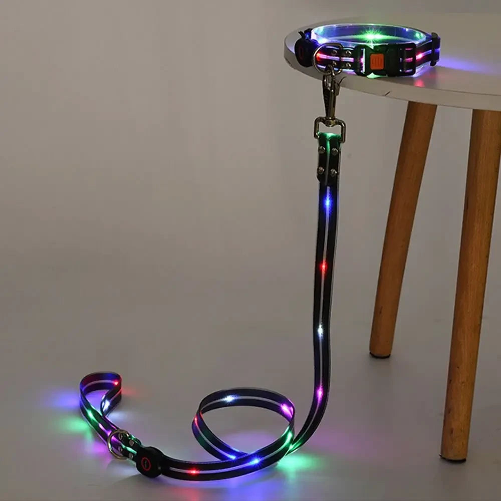 Rechargeable LED Dog Collar and Leash