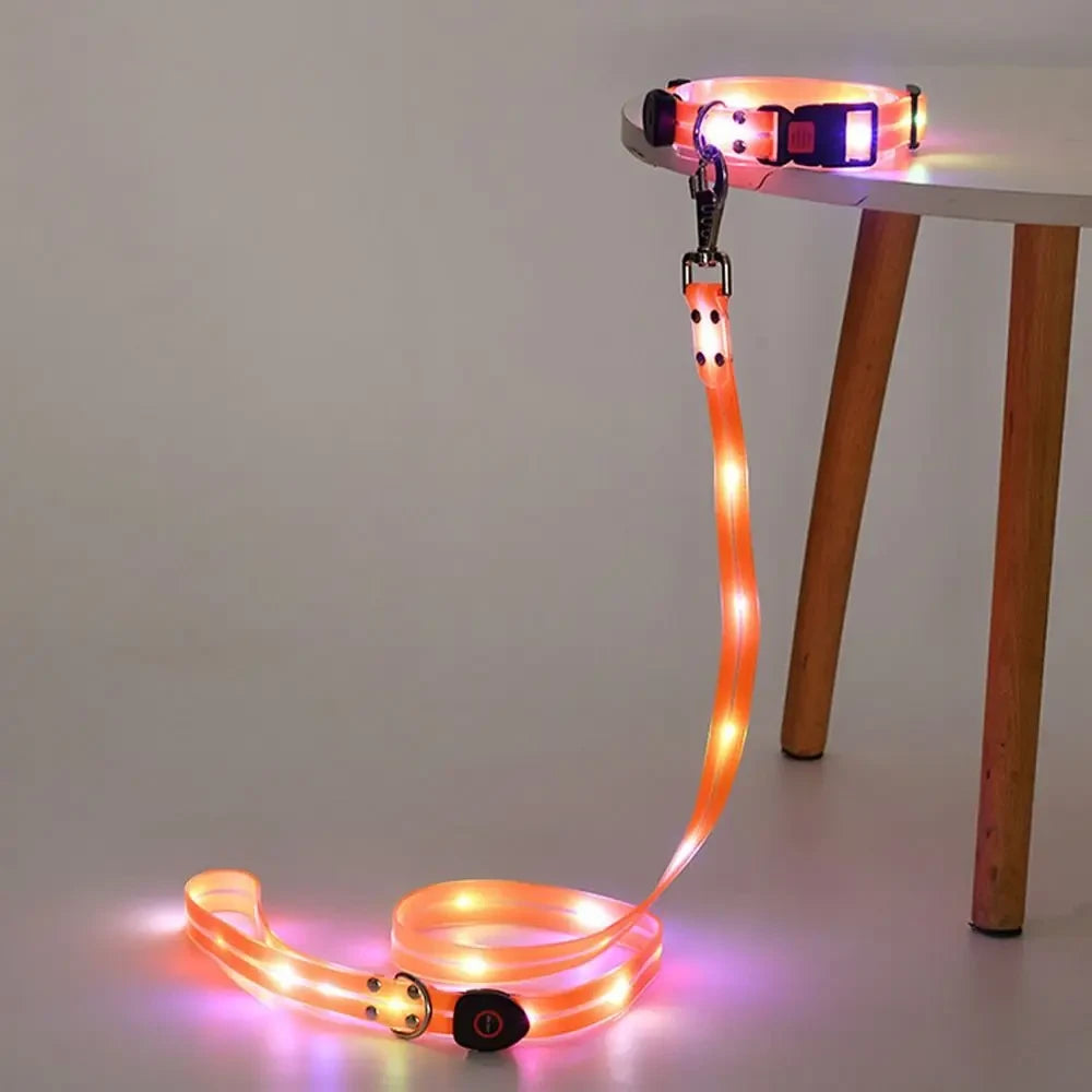 Rechargeable LED Dog Collar and Leash