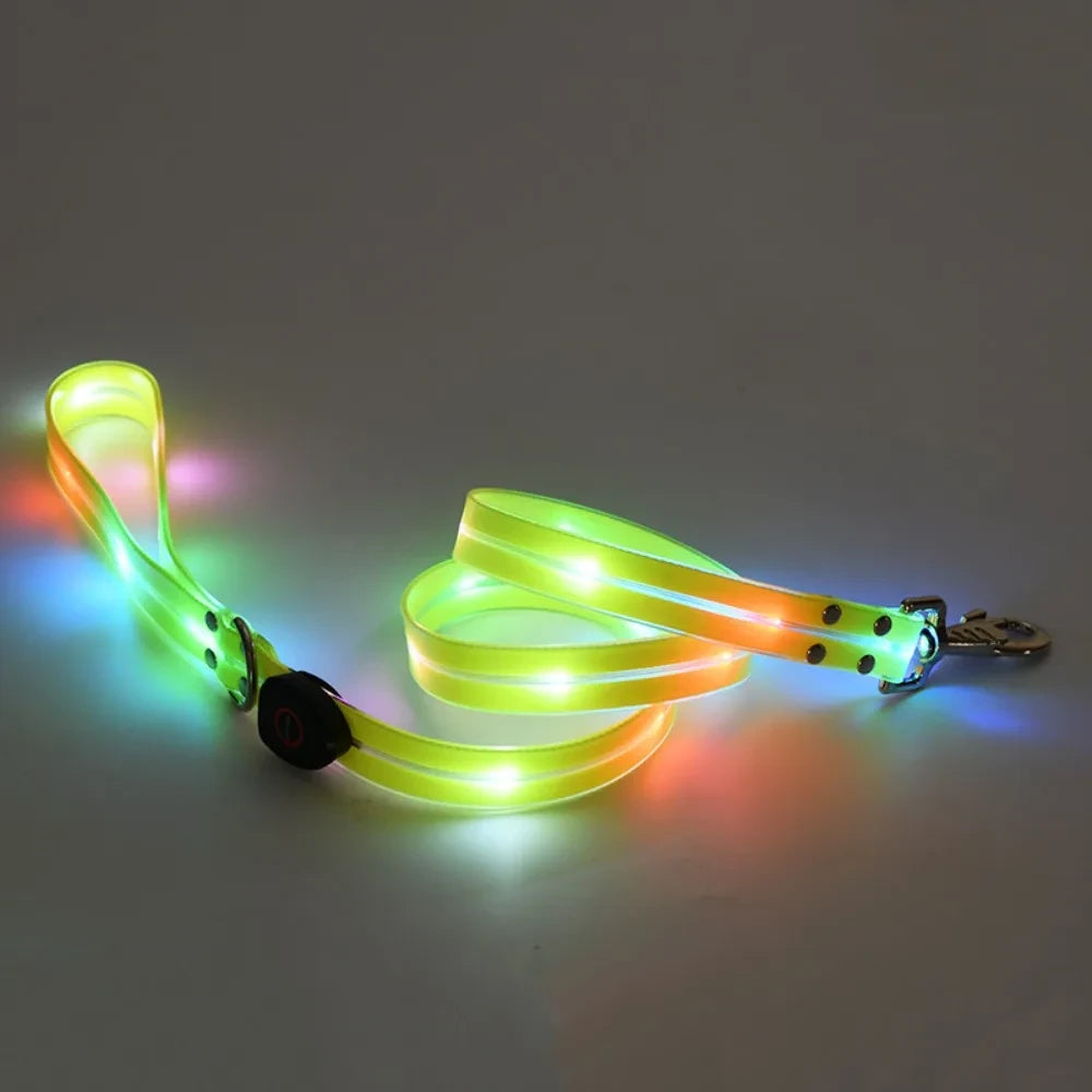 Rechargeable LED Dog Collar and Leash