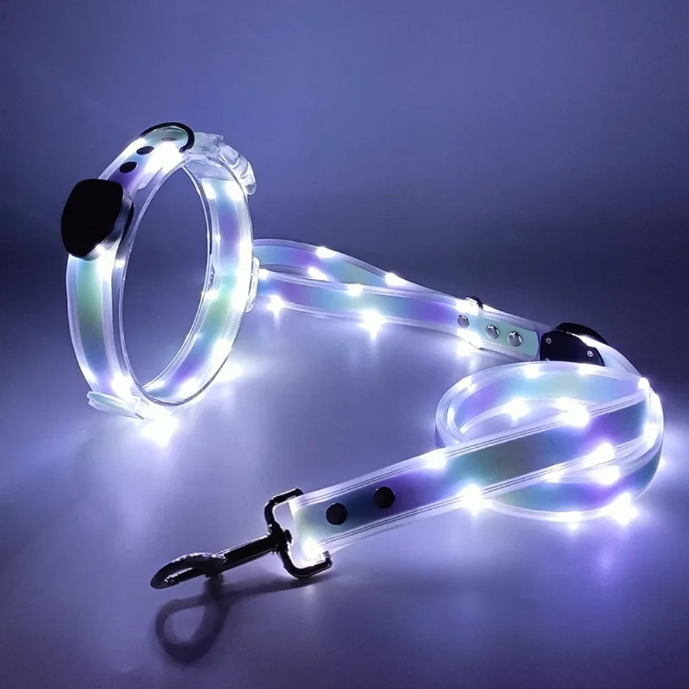 Rechargeable LED Dog Collar and Leash